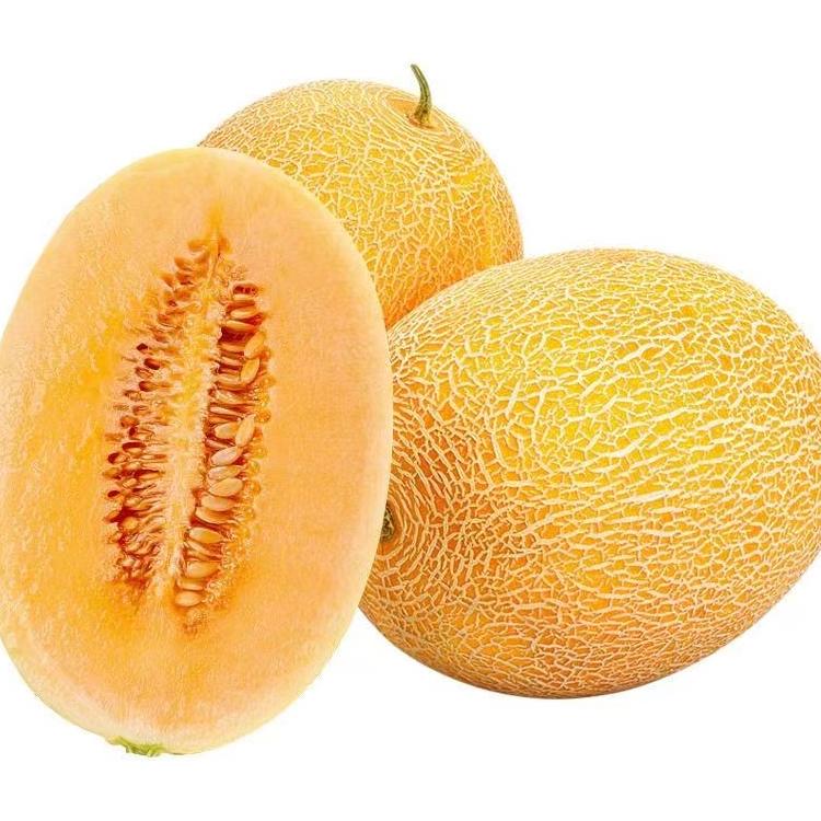 Orgaaniset melonin siemenet